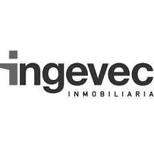 Copia de ingevec